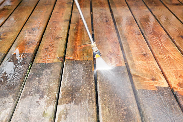 Best Soft Washing  in Creedmoor, NC